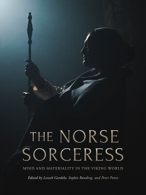 cover image of The Norse Sorceress